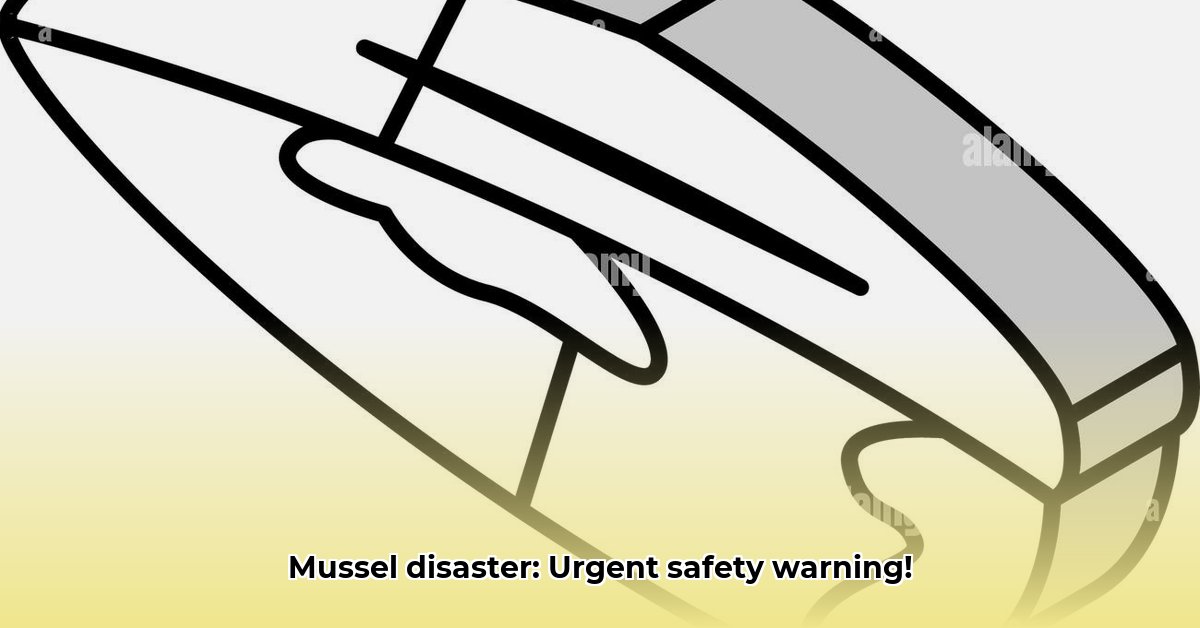 ongeval-mussel